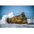 Tableau Alu Dibond