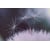 Tableau Alu Dibond
