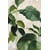 Tableau Alu Dibond