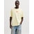 Jaune - Pastel Yellow 1