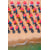 Tableau Alu Dibond
