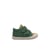 Vert-Kaki