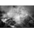 Tableau Alu Dibond