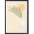 Affiche + Cadre En Bois - Noir