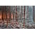 Tableau Alu Dibond