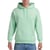 Vert Menthe