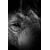 Tableau Alu Dibond