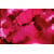 Tableau Alu Dibond