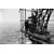 Tableau Alu Dibond