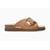 Camel 5146