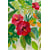 Tableau Alu Dibond