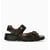 Marron 1372