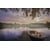 Tableau Alu Dibond