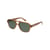 Vert Shiny Milky Coffee/Green