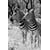 Tableau Alu Dibond