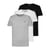 Blanc + Noir + Gris
