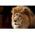 Tableau Alu Dibond