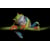 Tableau Alu Dibond