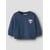 Insignia Blue