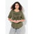 Gris Olive