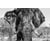Tableau Alu Dibond