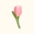 Rose Avec Tige Vert Nacré