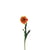Orange Et Vert