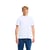 Blanc White