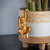 Gold-Coloured