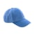 Bleuet