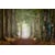 Tableau Alu Dibond