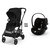 Noir Magic Black
