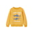Ocre