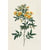 Tableau Alu Dibond