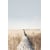 Tableau Alu Dibond