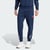Collegiate Navy
