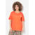 Rose Corail