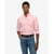 Pink City Chambray Oxford