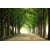Tableau Alu Dibond