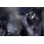Tableau Alu Dibond