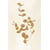Tableau Alu Dibond