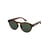 Marron Tortoise Brown/Green Plz