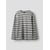 Gris - Alloy1
