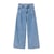 Bleu Moyen