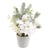 Blanc