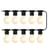 Noire, Ampoules Transparentes