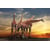 Tableau Alu Dibond