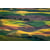 Tableau Alu Dibond