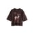 Licence Snoopy Marron