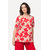 Corail